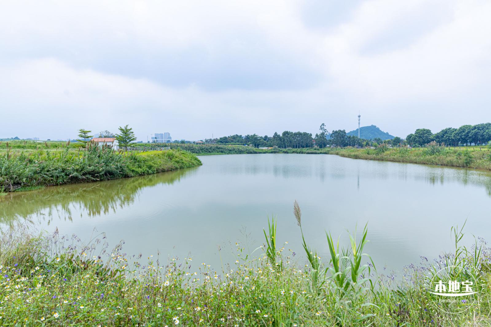 2020光明小镇欢乐田园