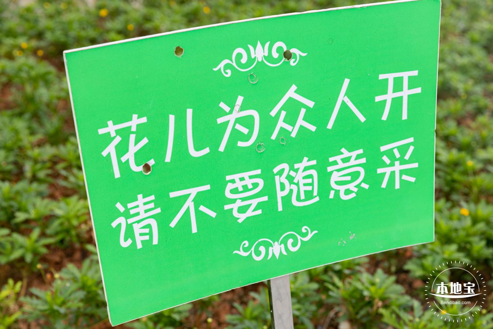 2020光明小镇欢乐田园
