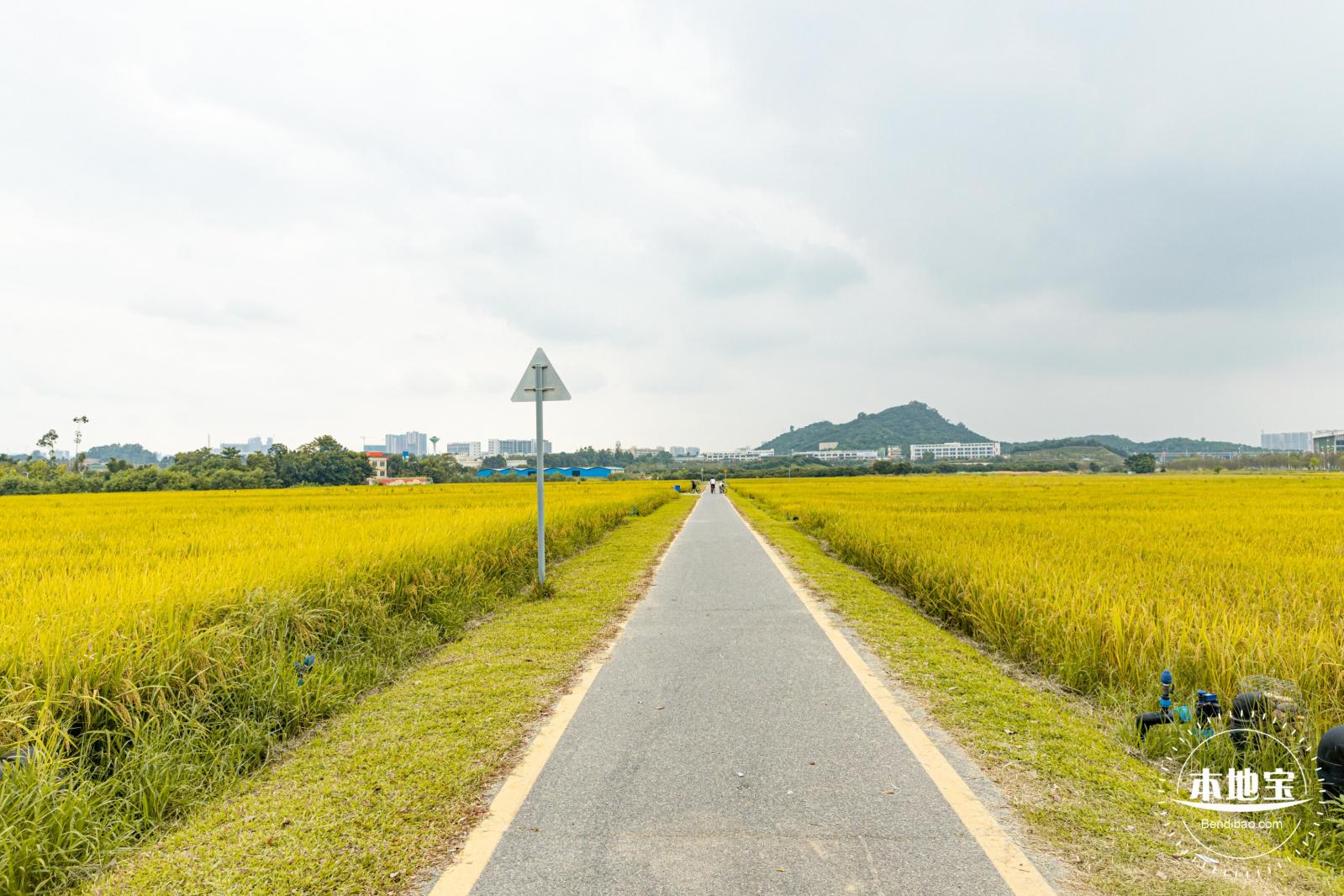 2020光明小镇欢乐田园