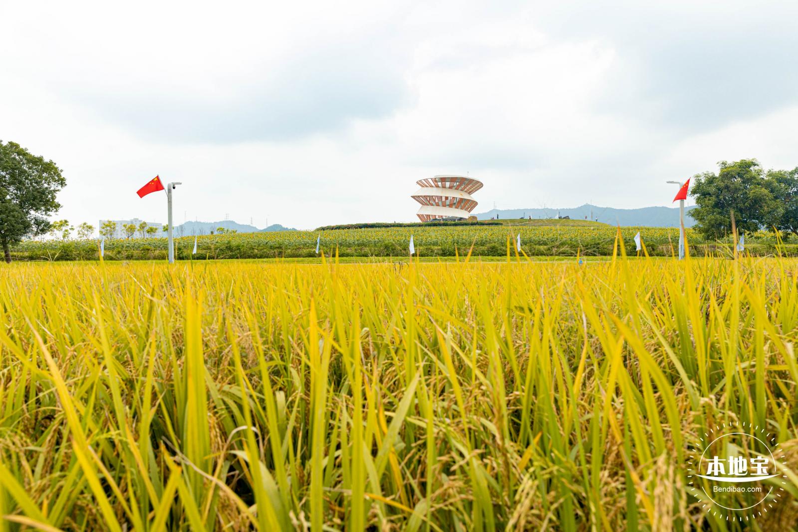 2020光明小镇欢乐田园