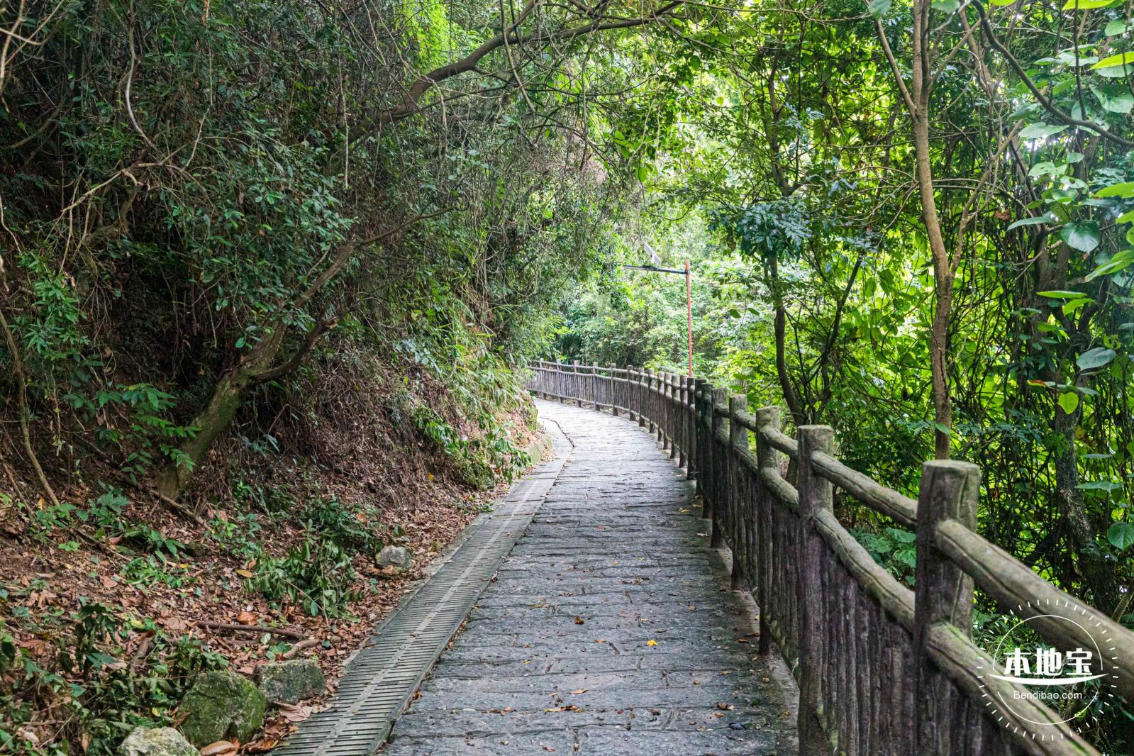 沙鱼涌