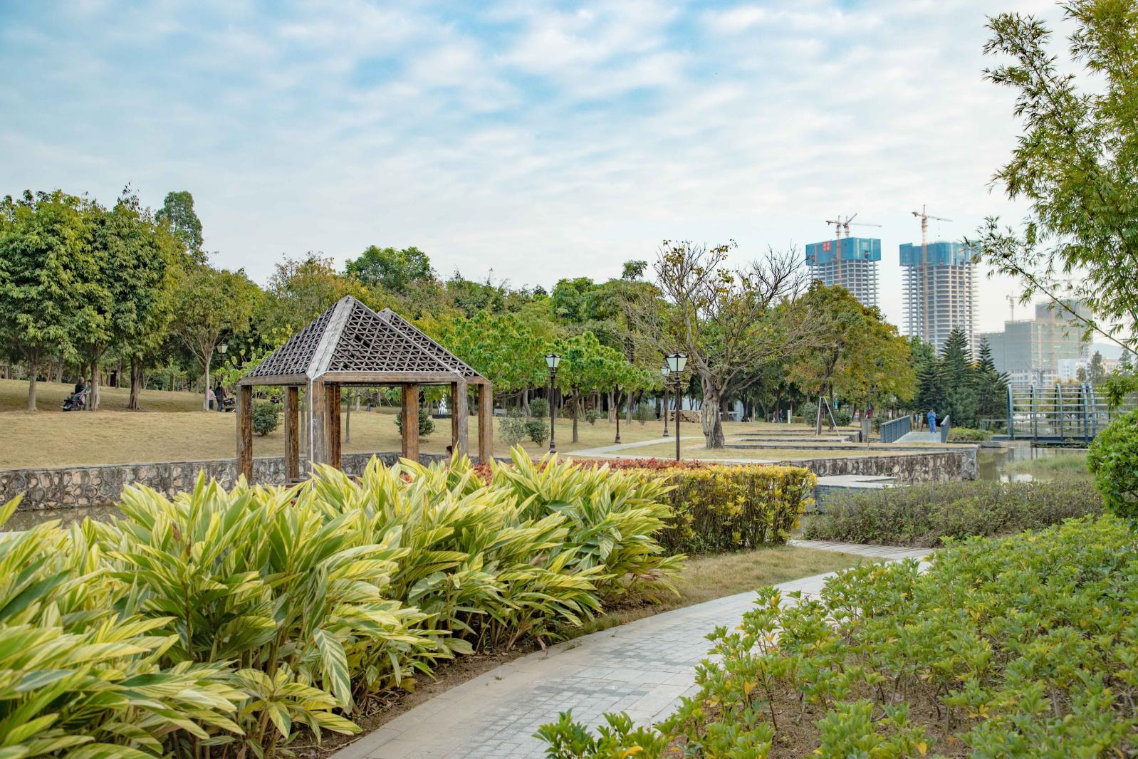 坪山区中心公园