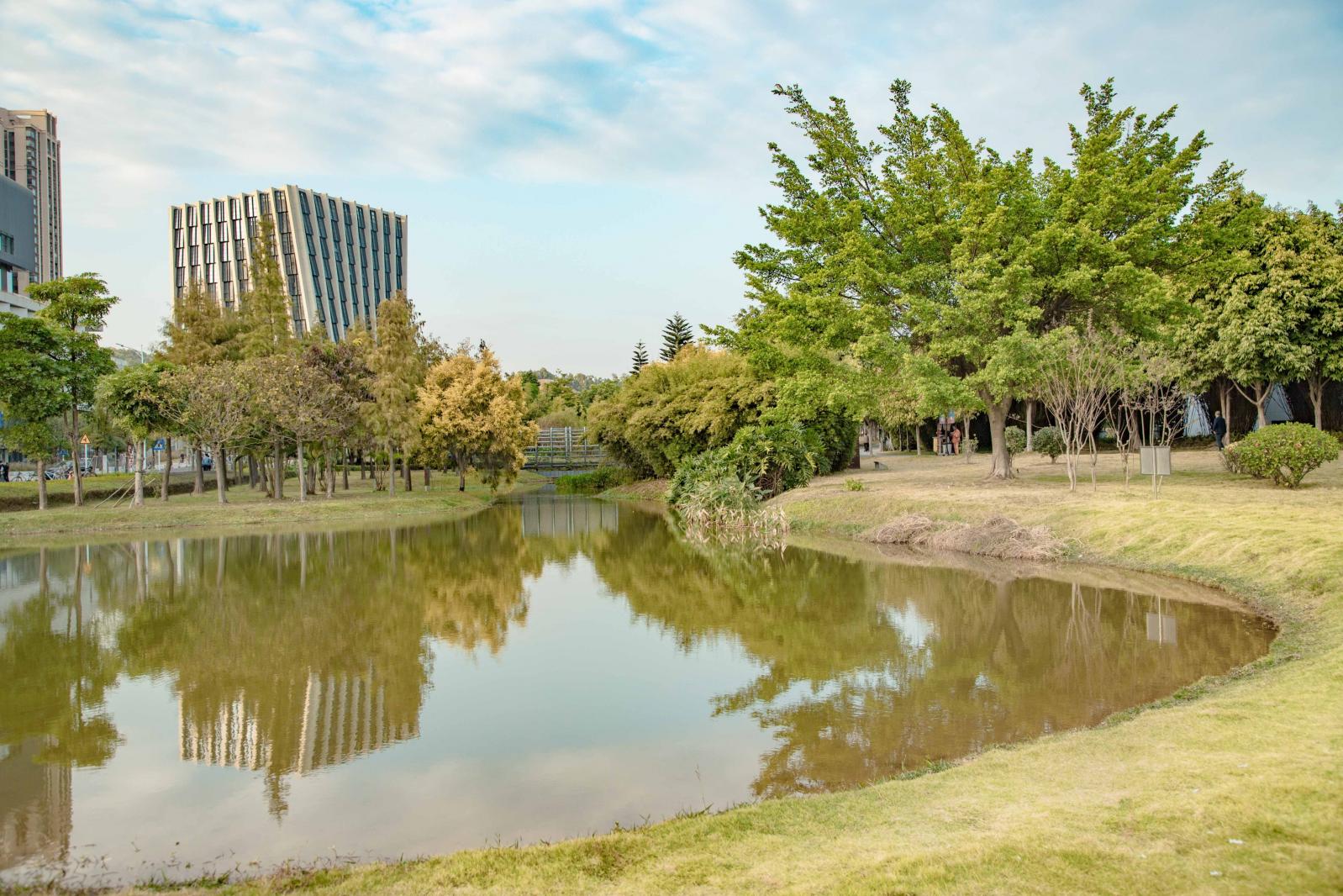 坪山区中心公园