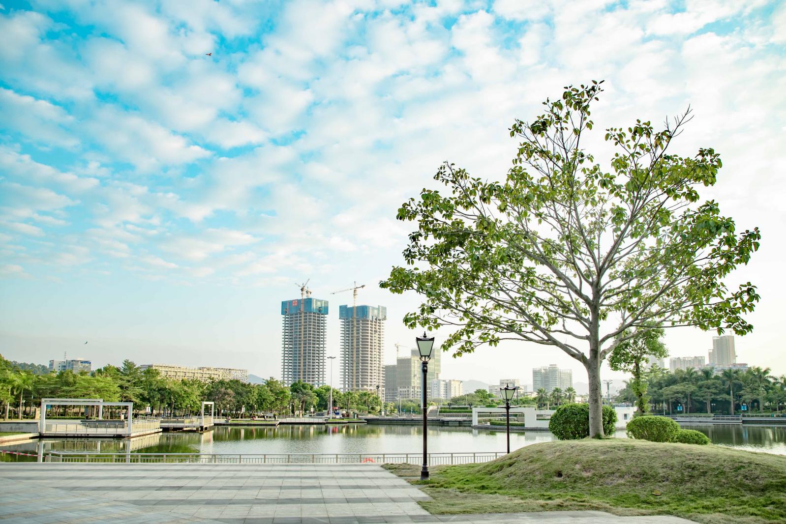 坪山区中心公园