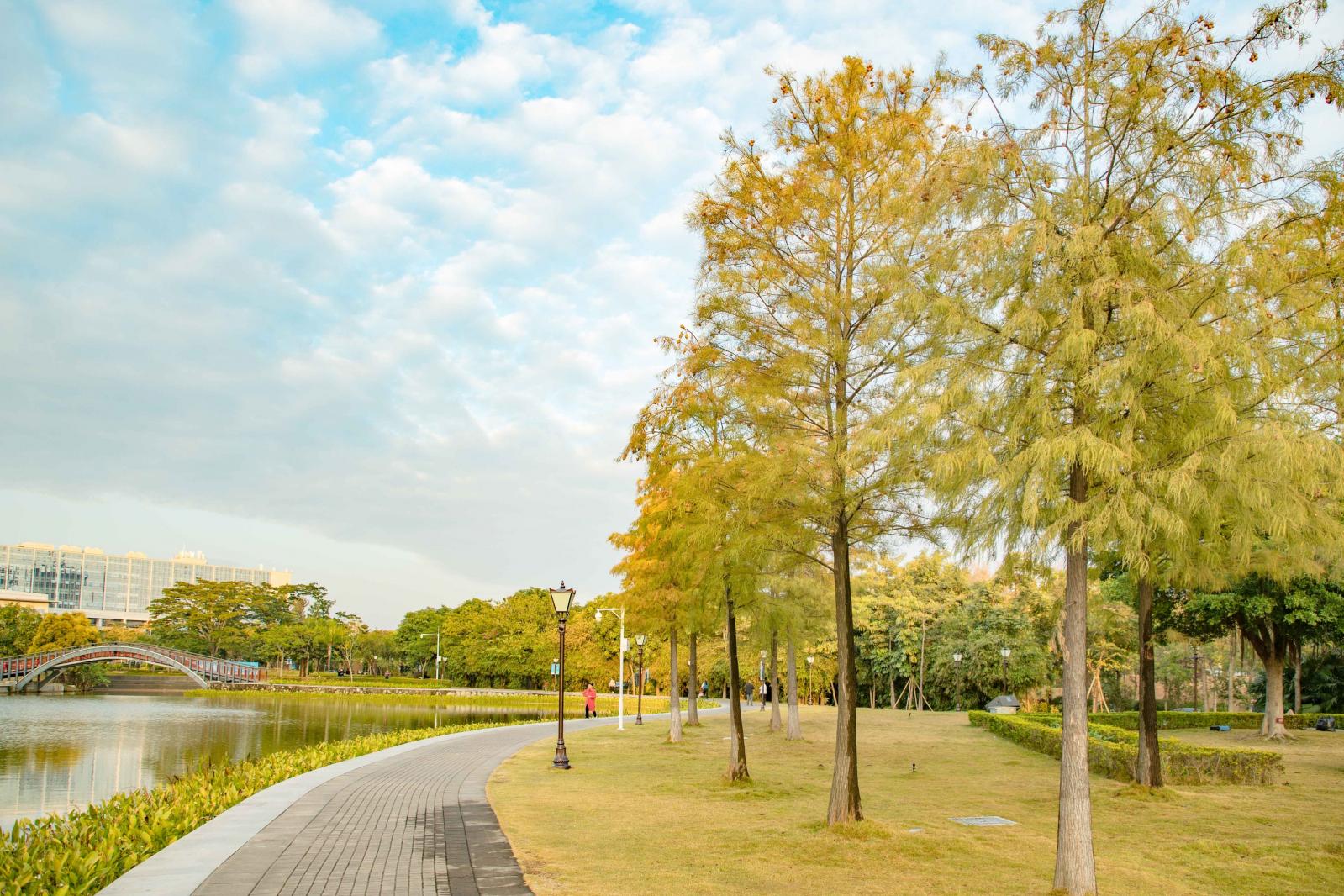 坪山区中心公园
