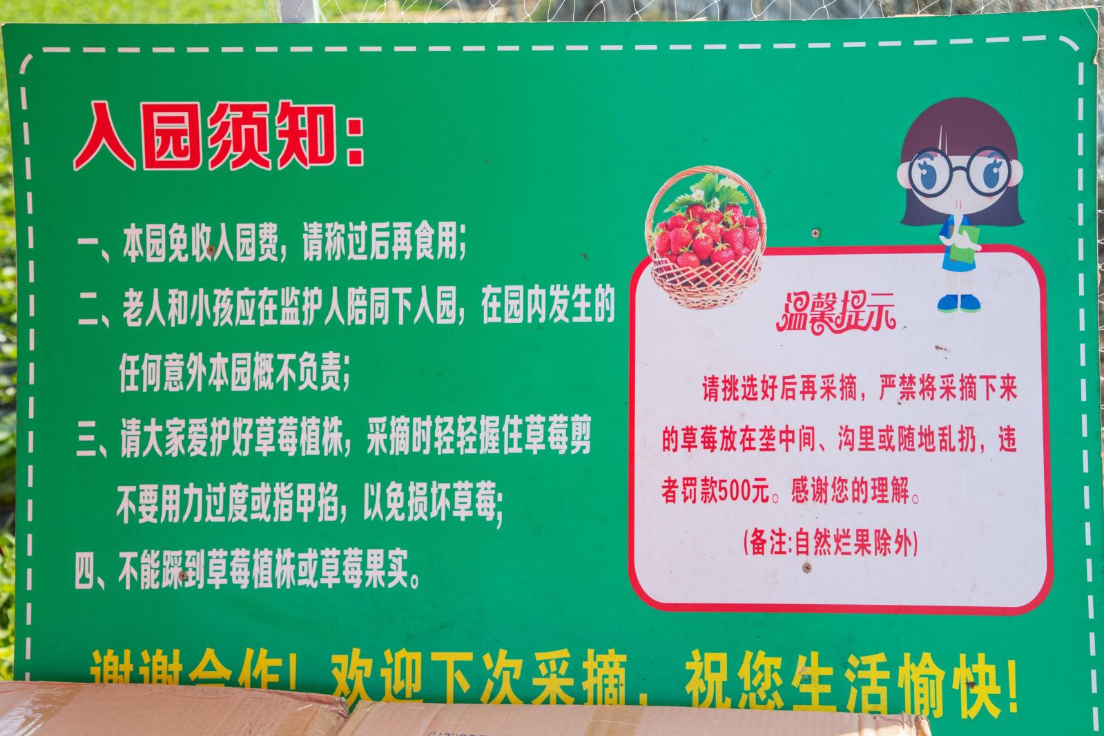 观澜版画村
