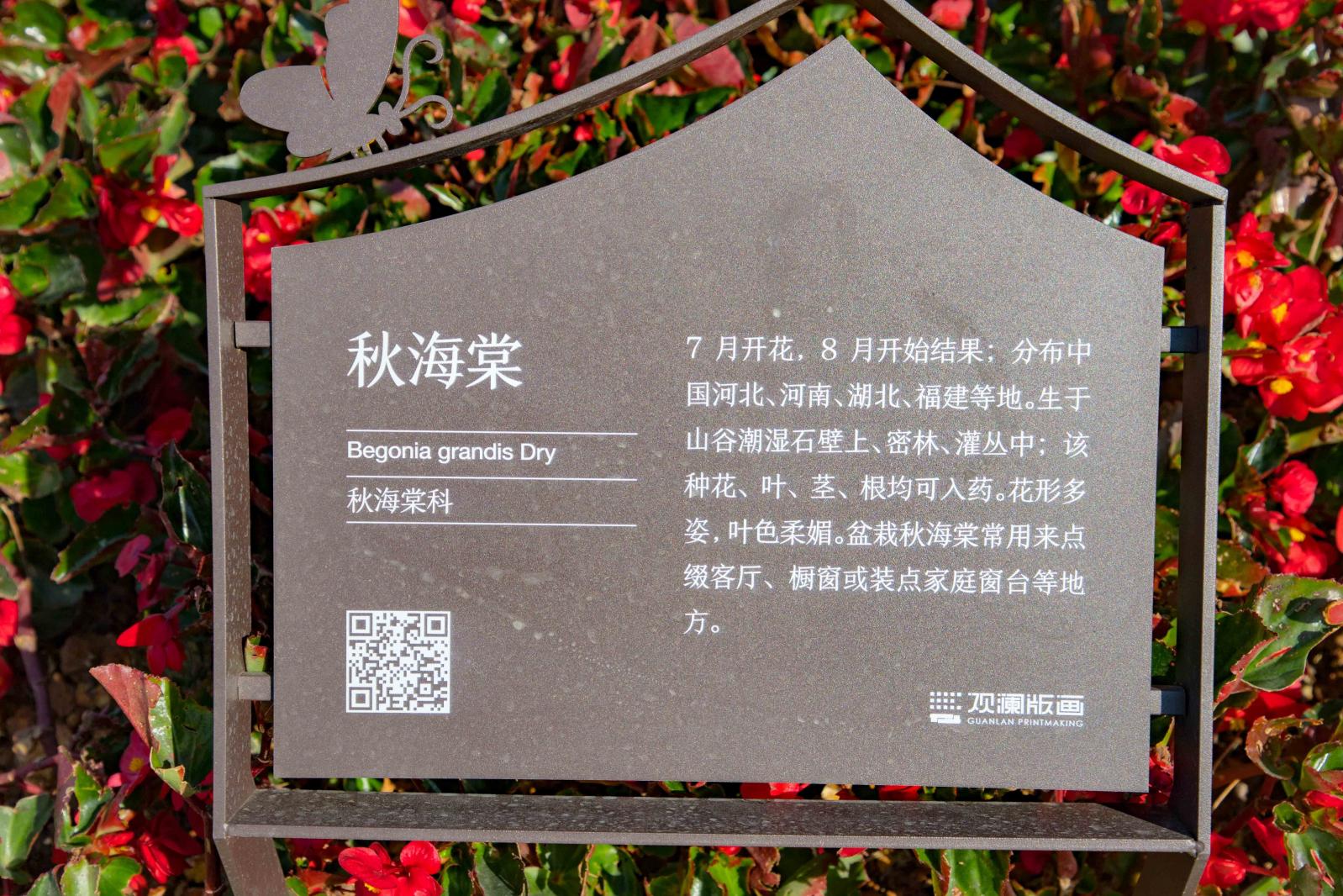 观澜版画村