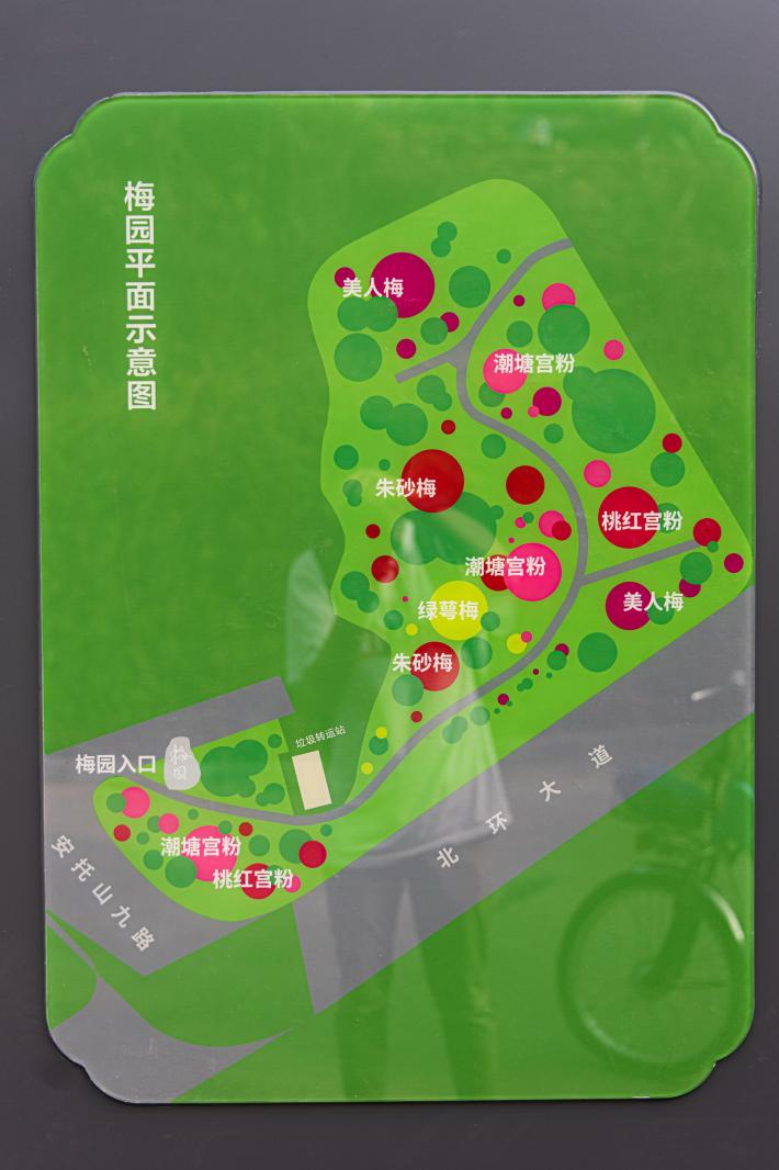 深圳梅园