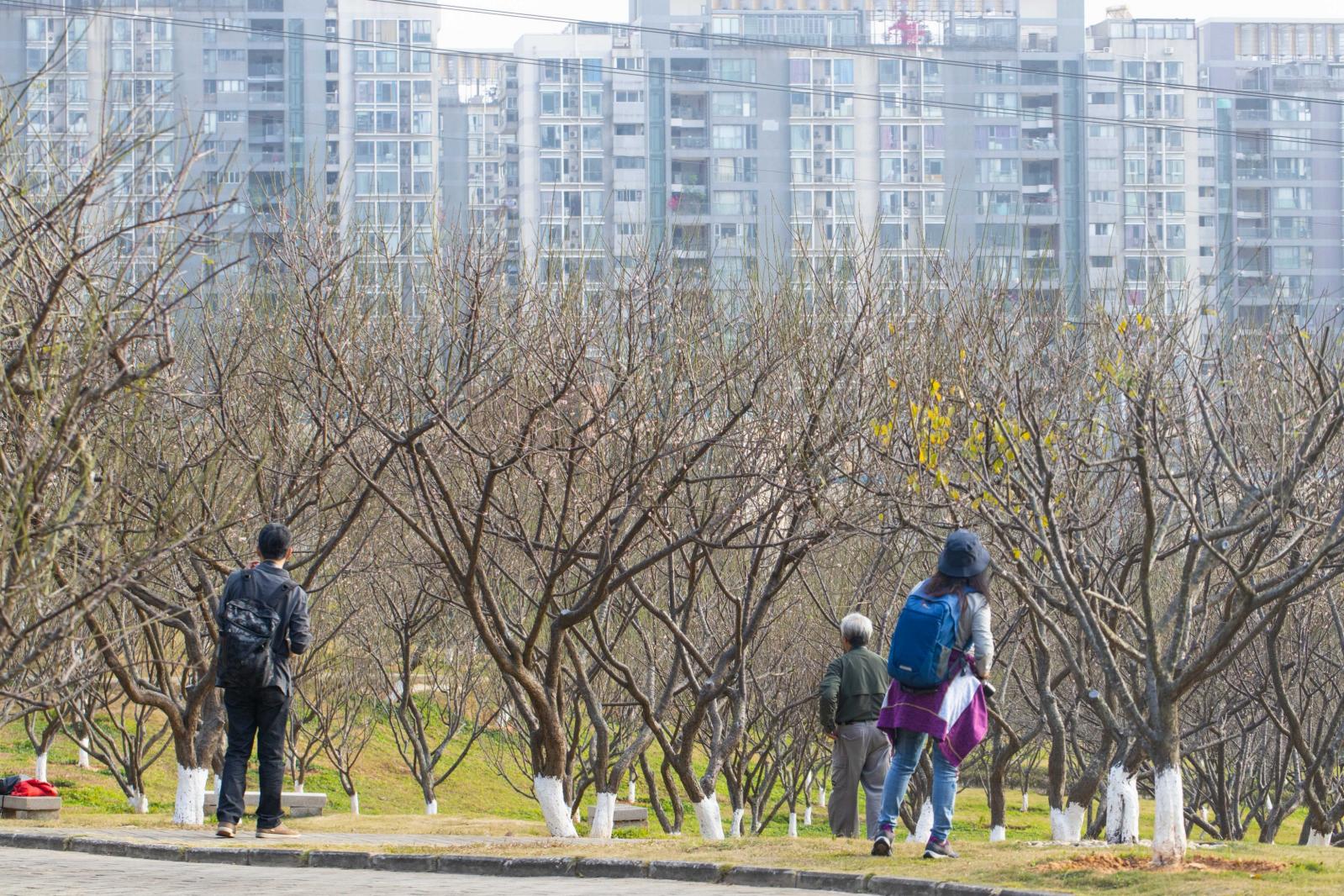 深圳梅园