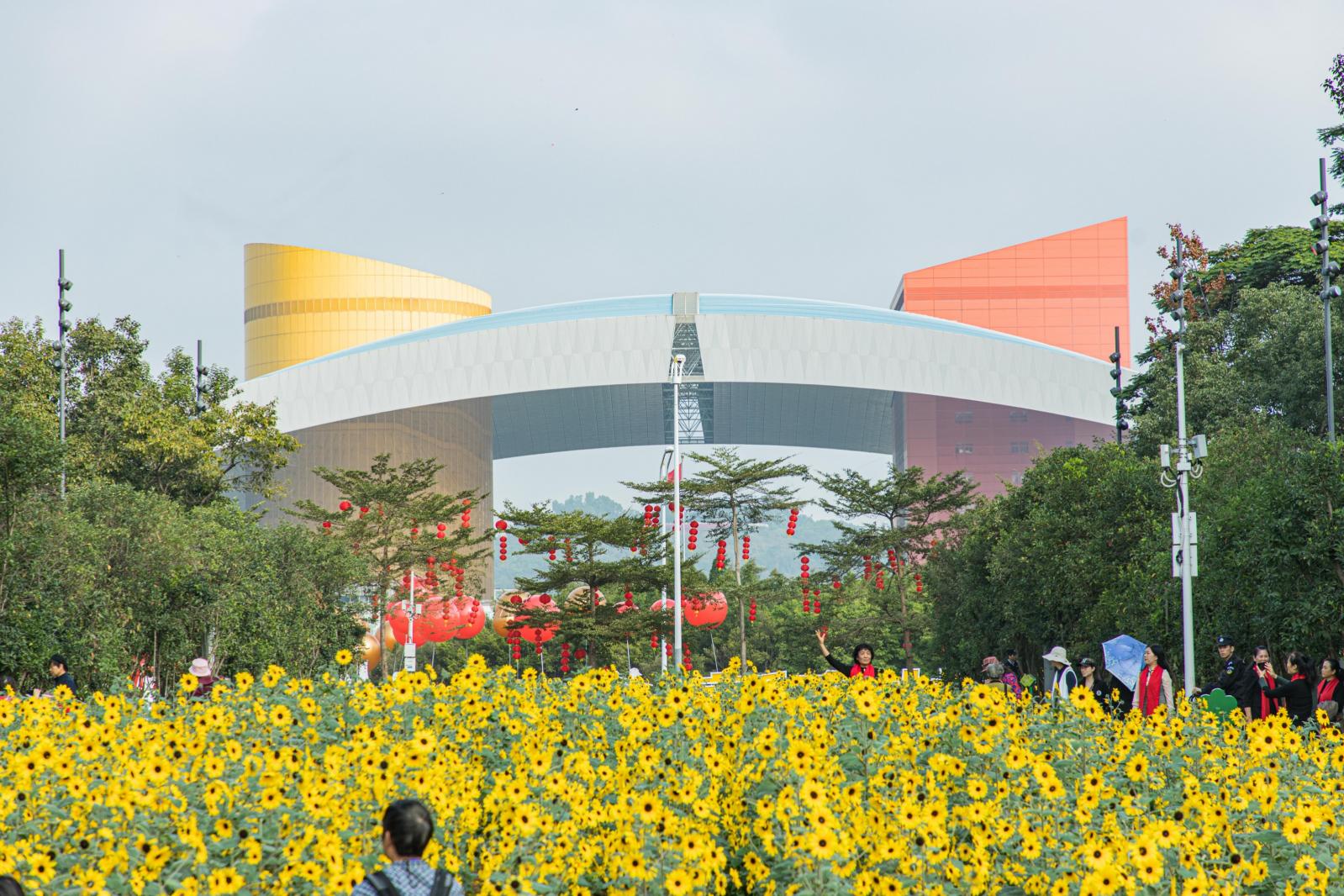 市民中心向日葵