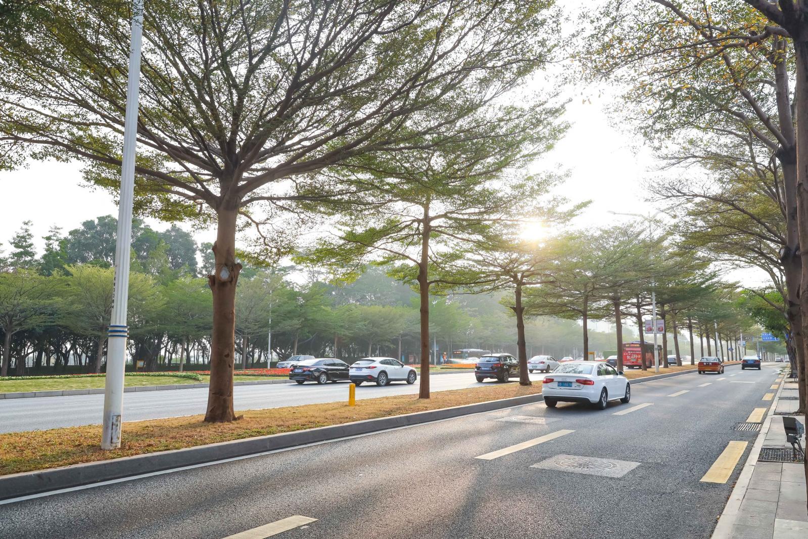 深圳国际园林花卉博览园