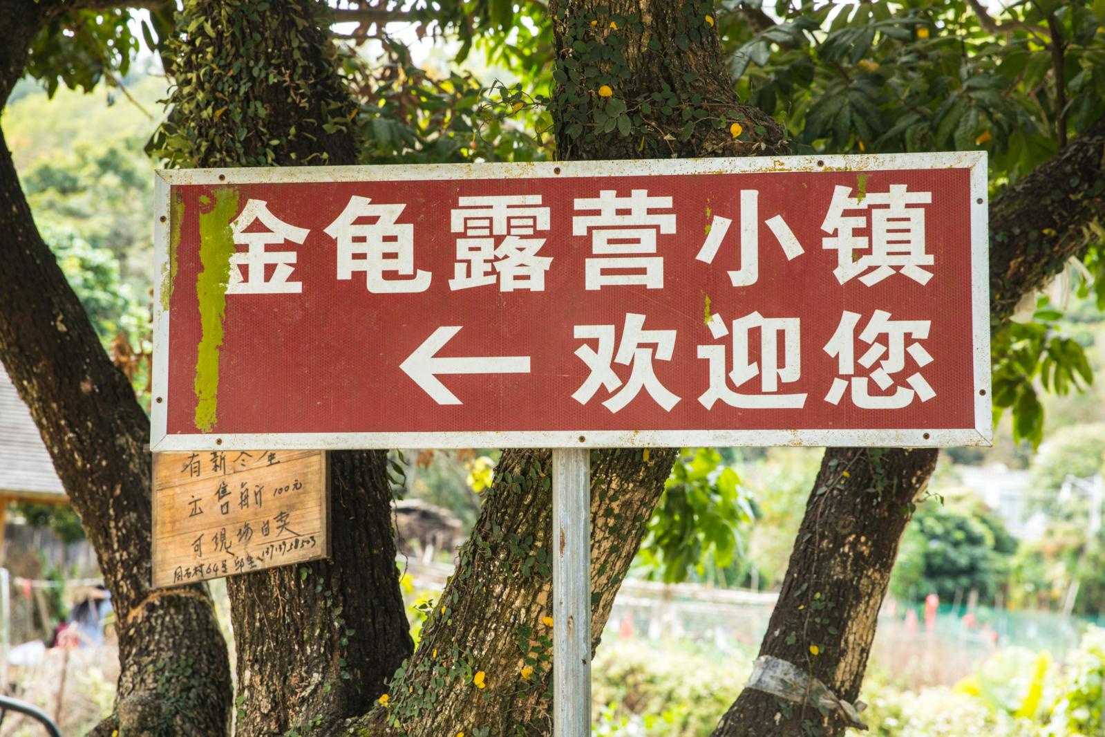 金龟露营小镇