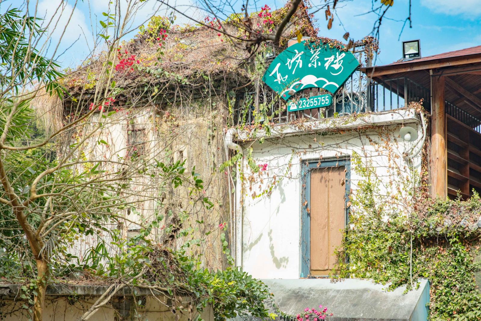 金龟露营小镇