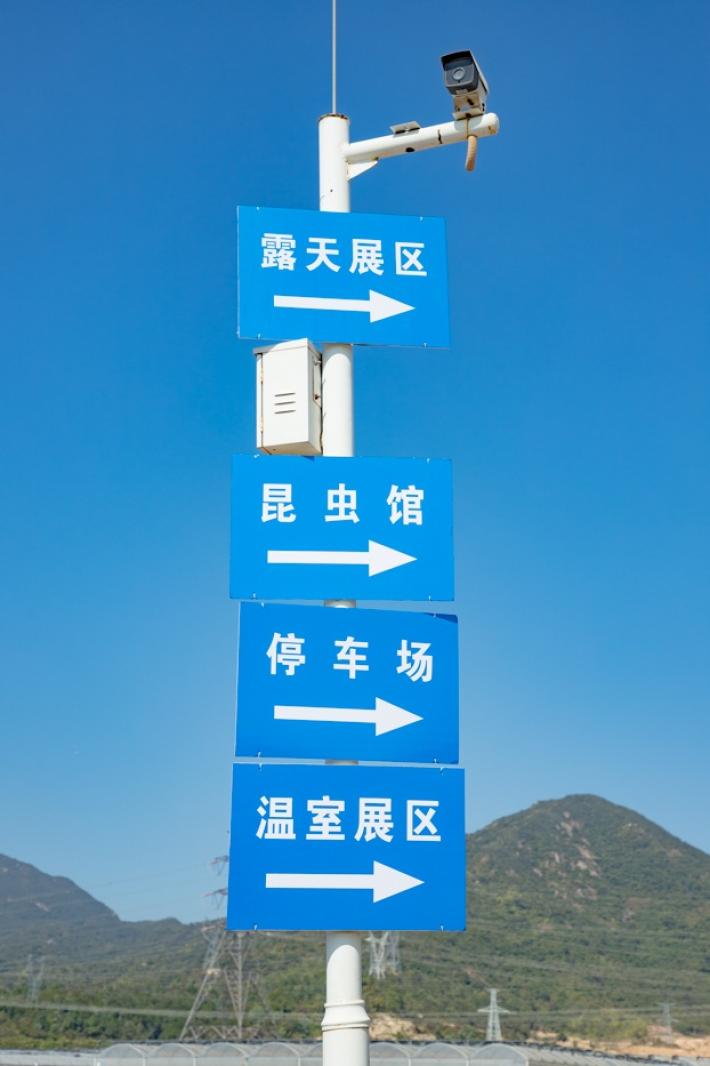 排牙山下菊花展