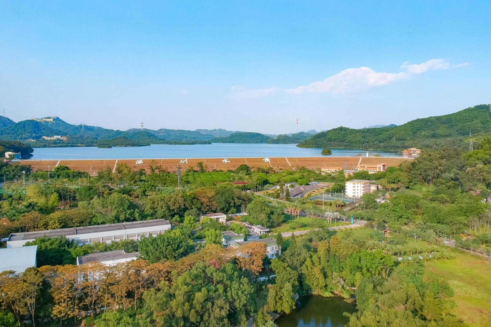 2019深圳菊花展