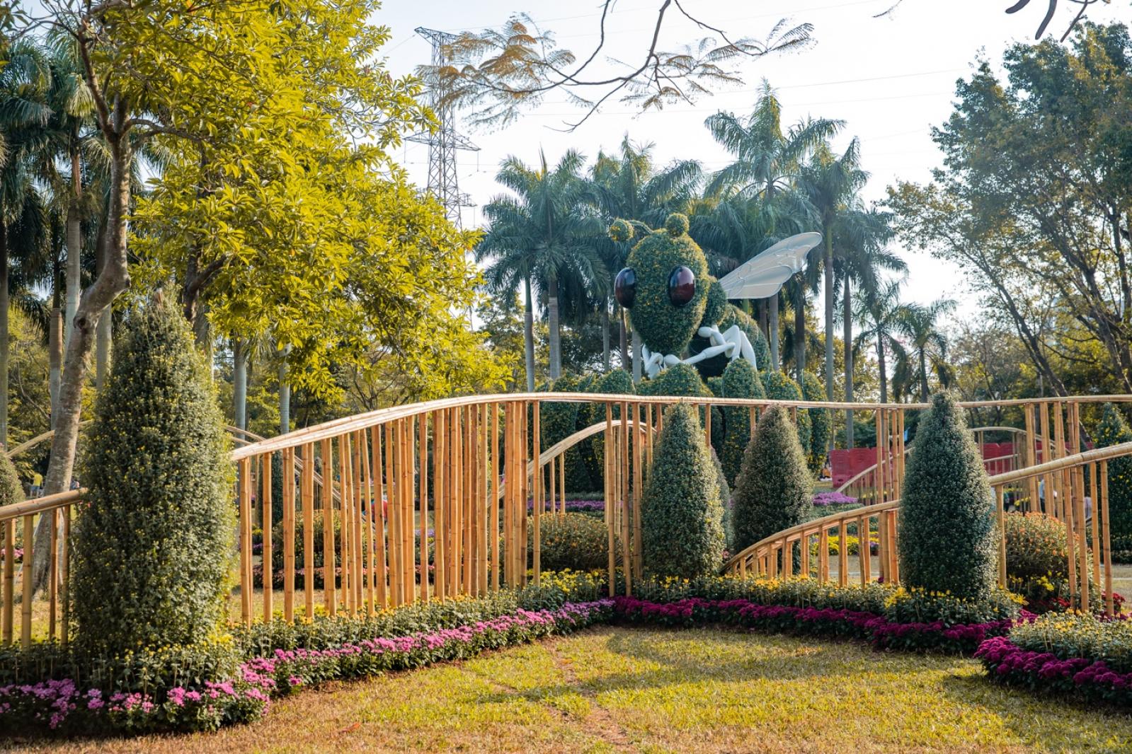 2019深圳菊花展