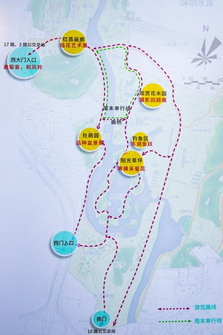 2019深圳菊花展