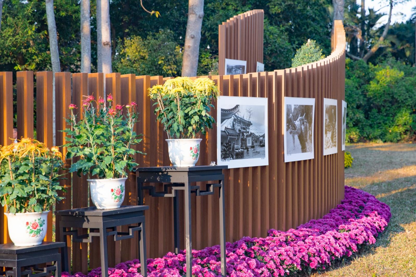2019深圳菊花展