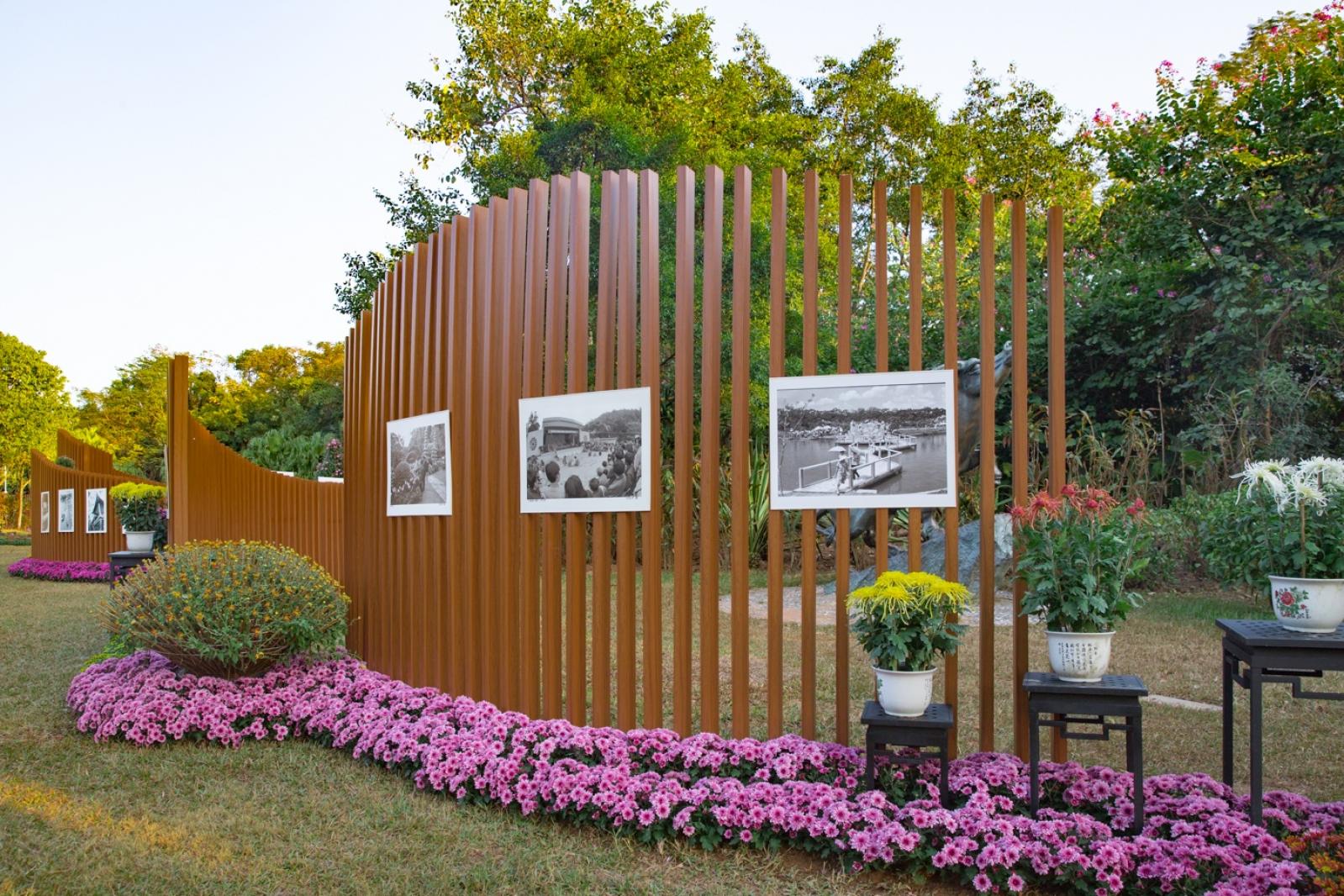 2019深圳菊花展