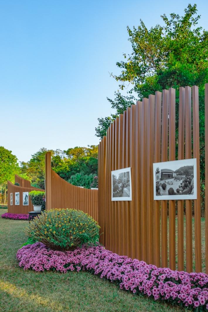 2019深圳菊花展