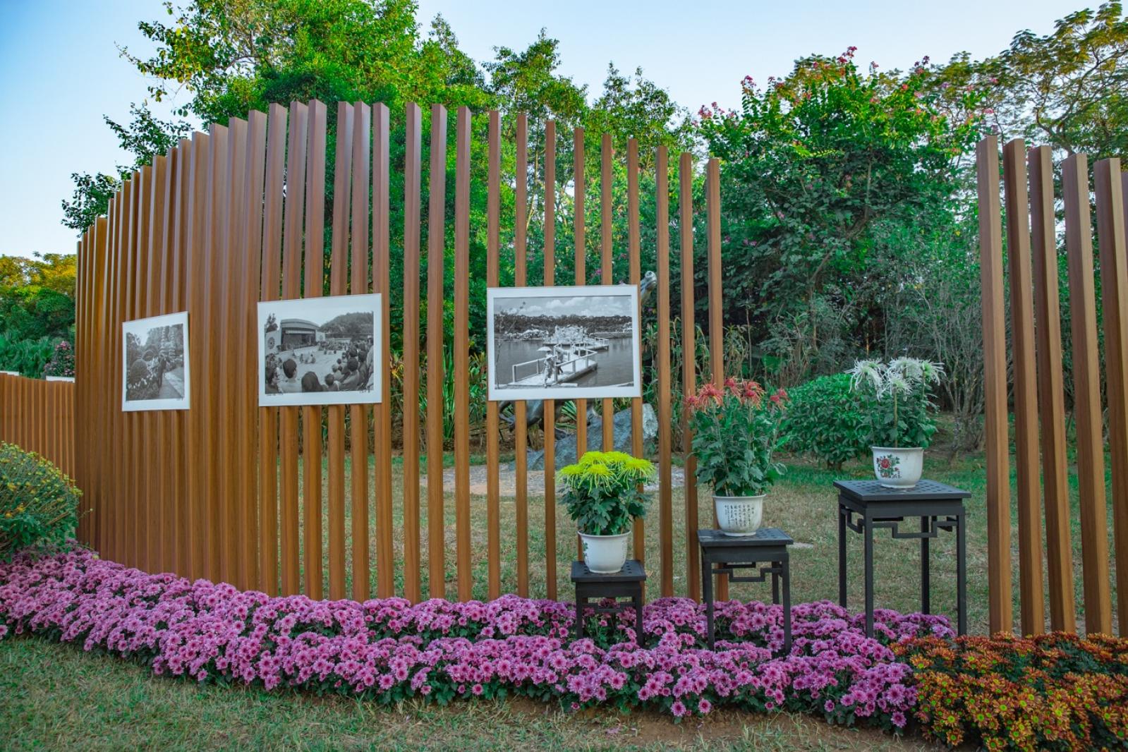 2019深圳菊花展