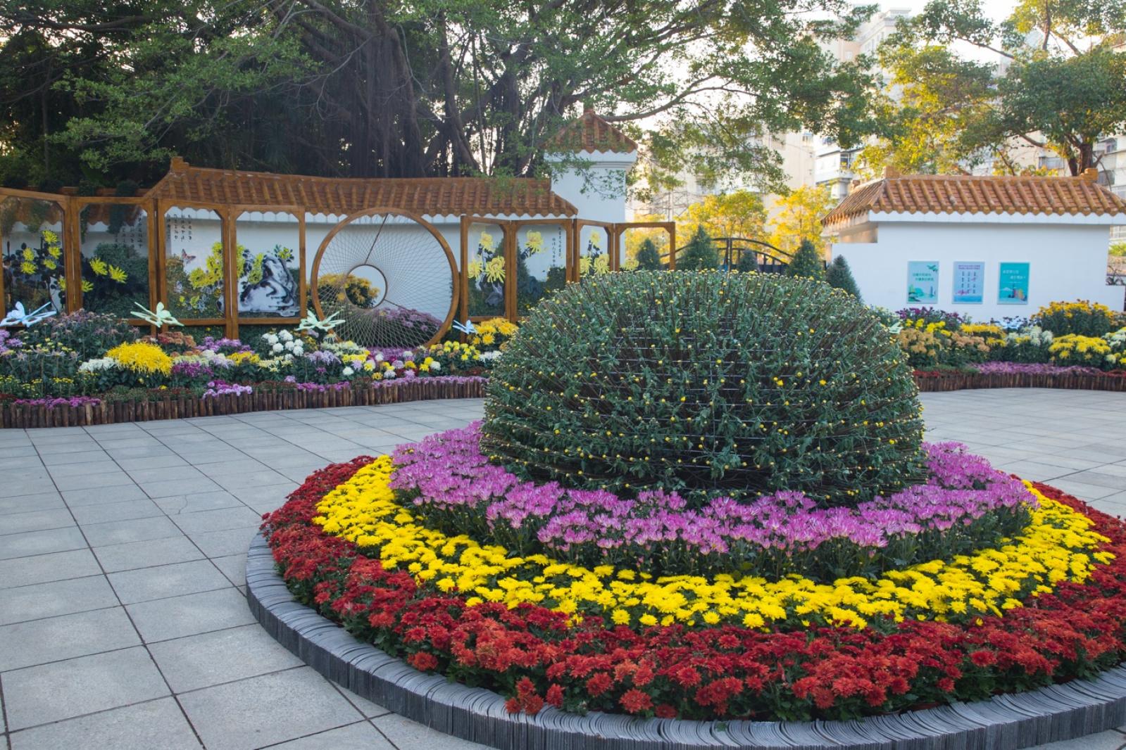 2019深圳菊花展