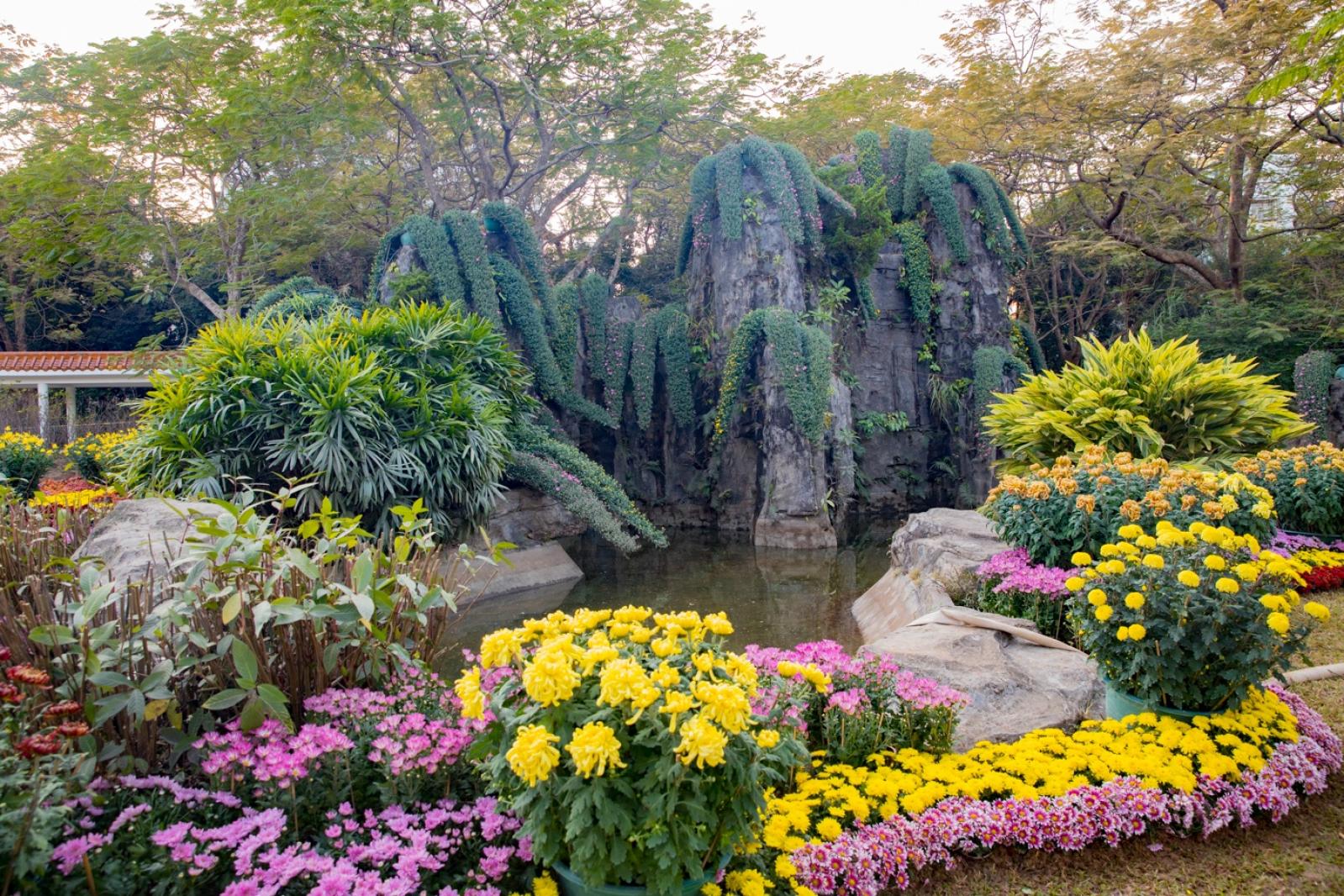 2019深圳菊花展