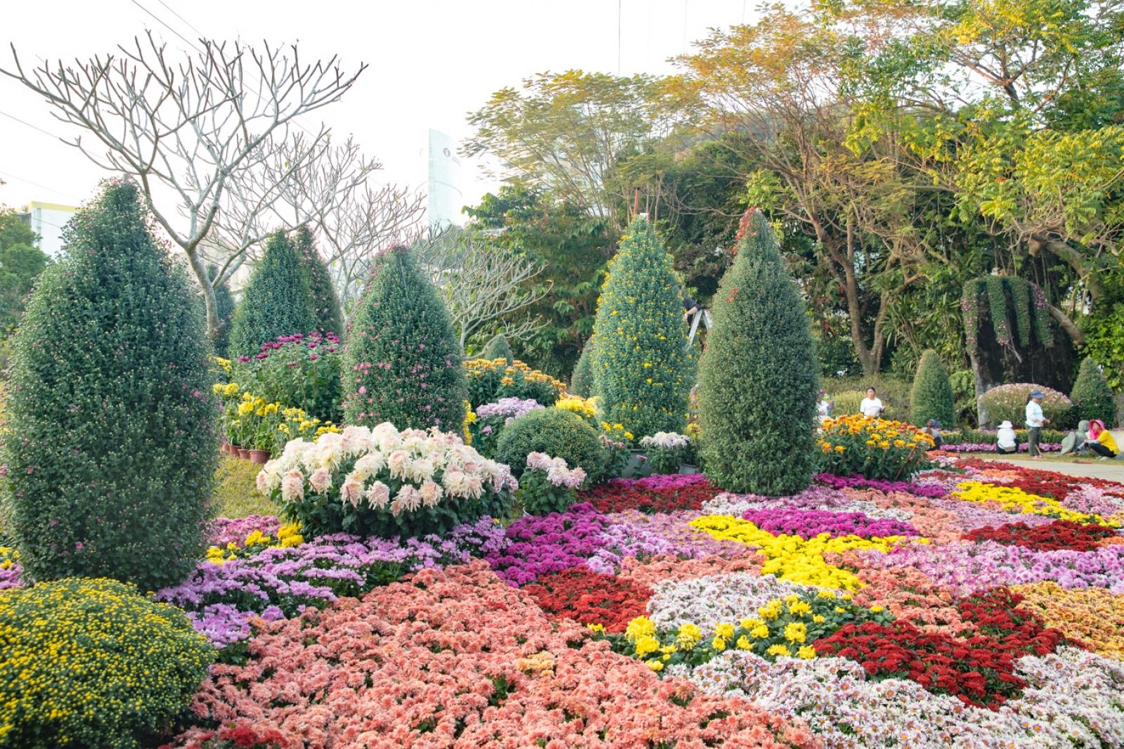 2019深圳菊花展