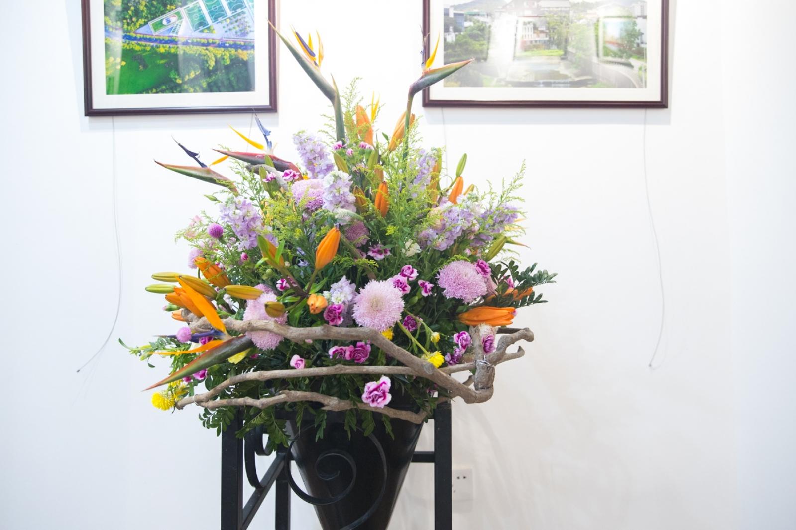 2019深圳菊花展