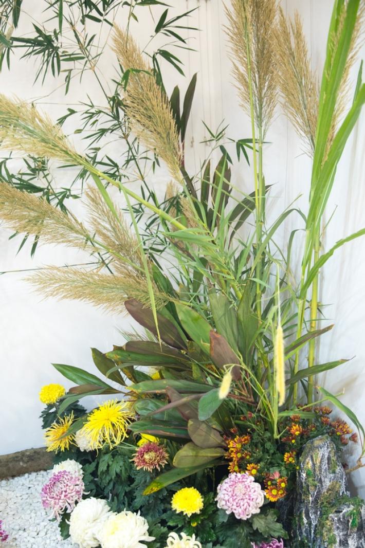 2019深圳菊花展