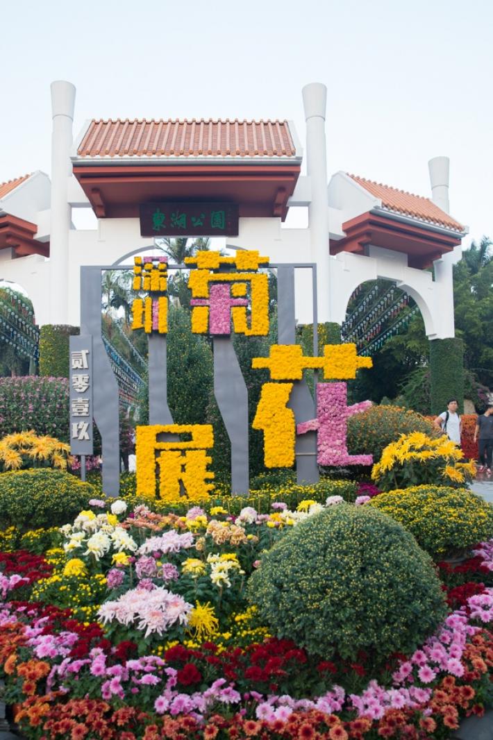 2019深圳菊花展