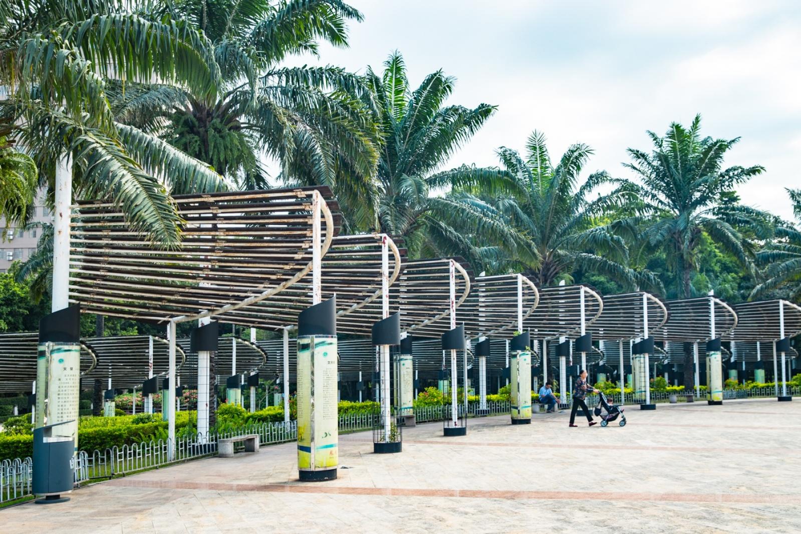 深圳凤凰古村