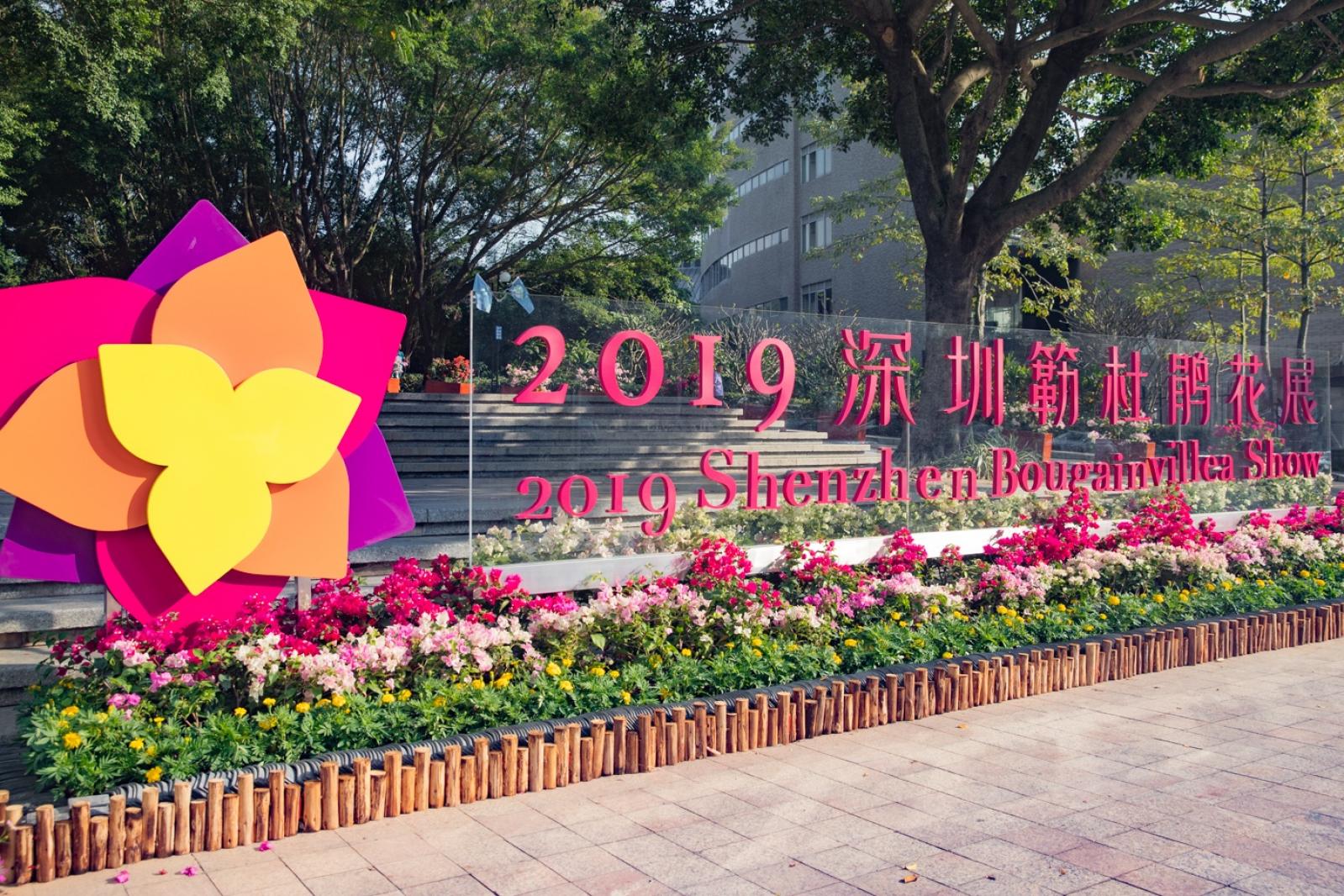 深圳簕杜鹃花展