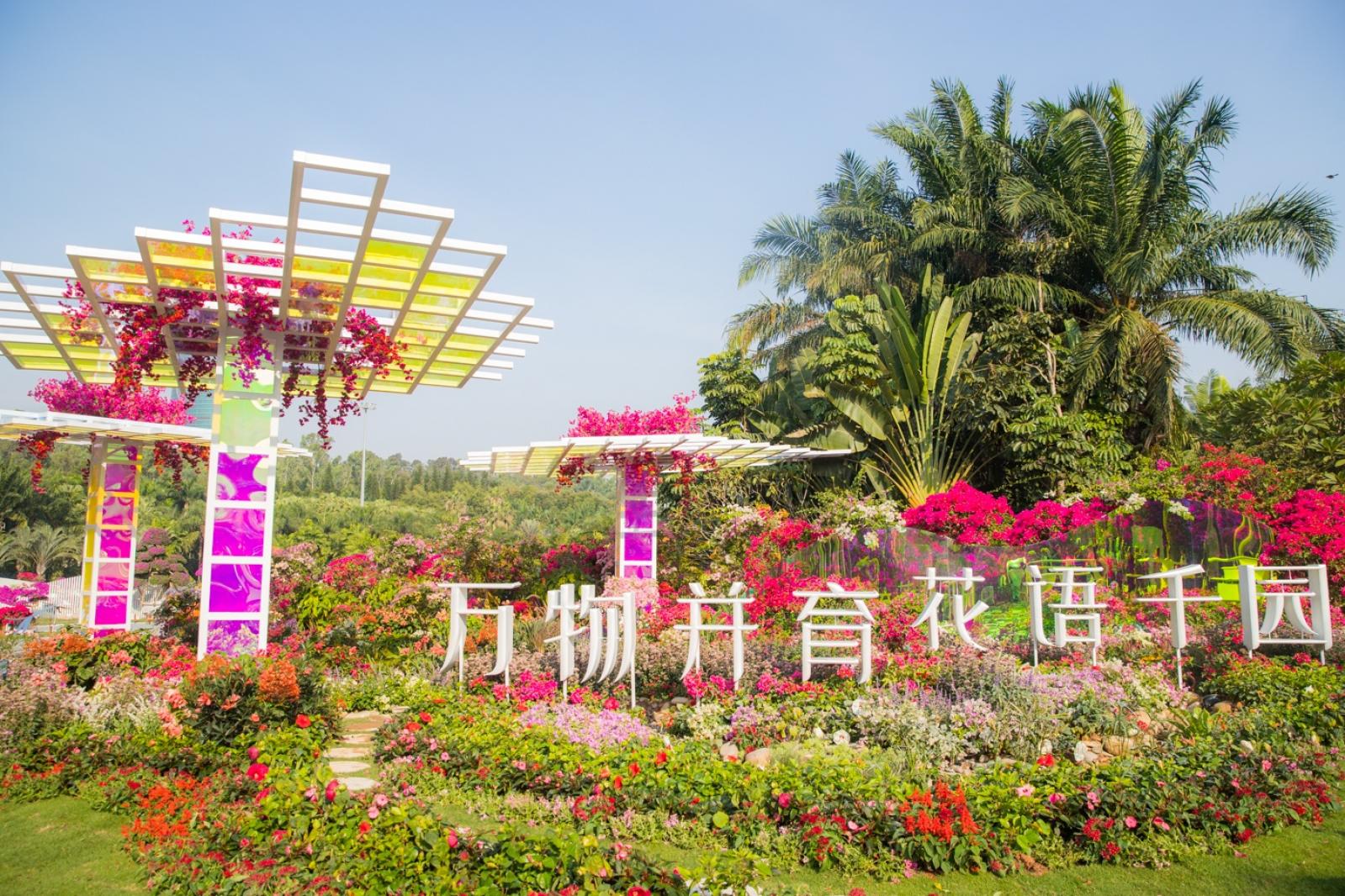 深圳簕杜鹃花展
