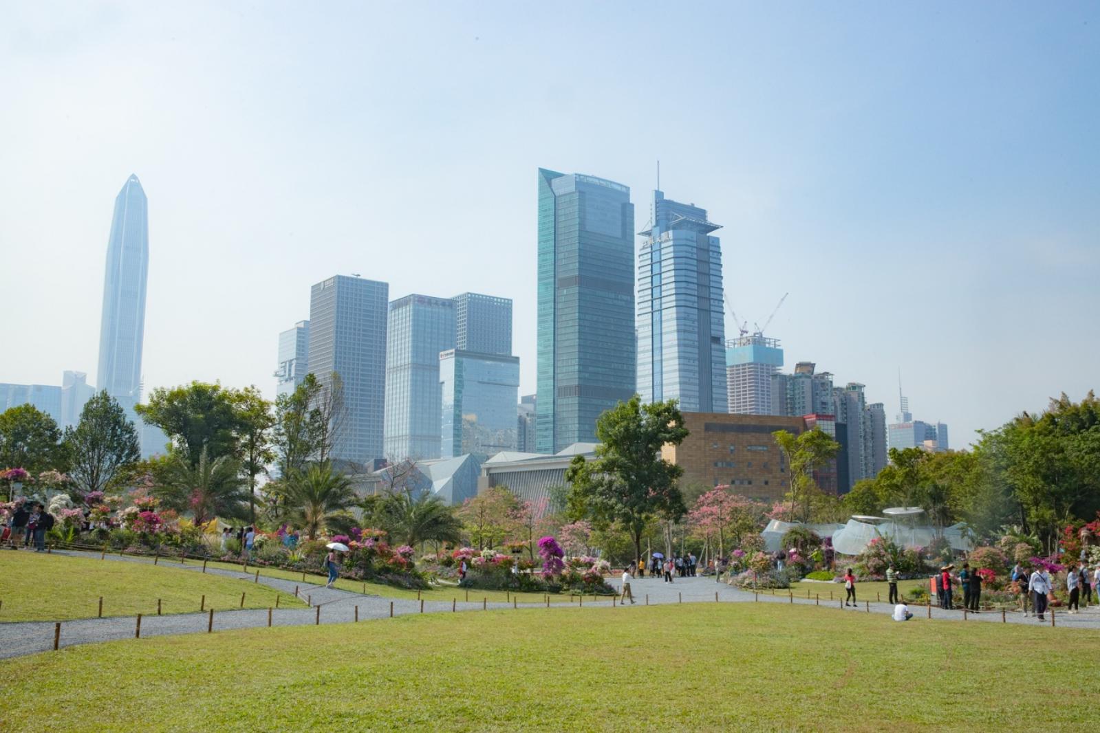 深圳簕杜鹃花展