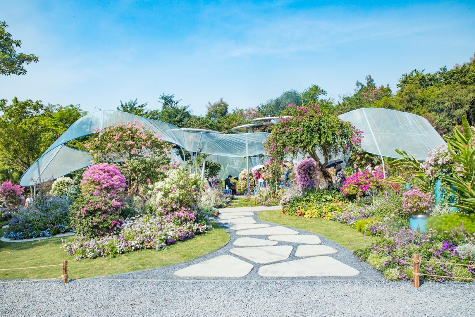深圳簕杜鹃花展