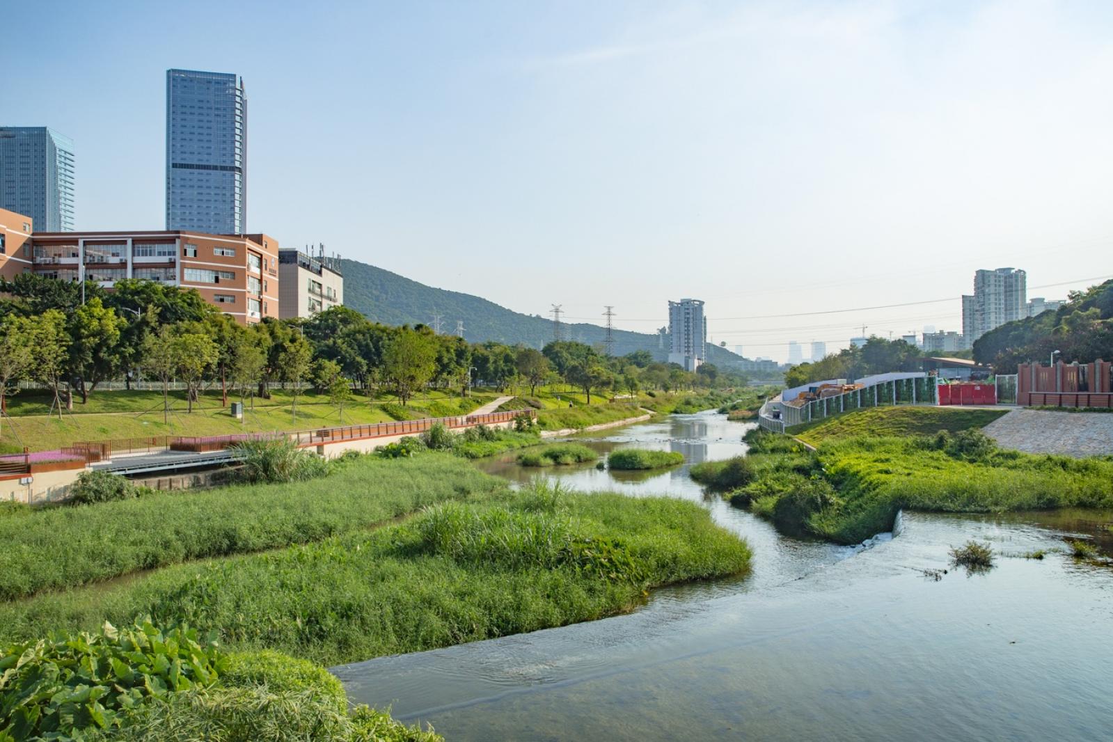 大沙河生态长廊