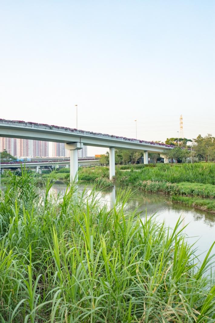 大沙河生态长廊