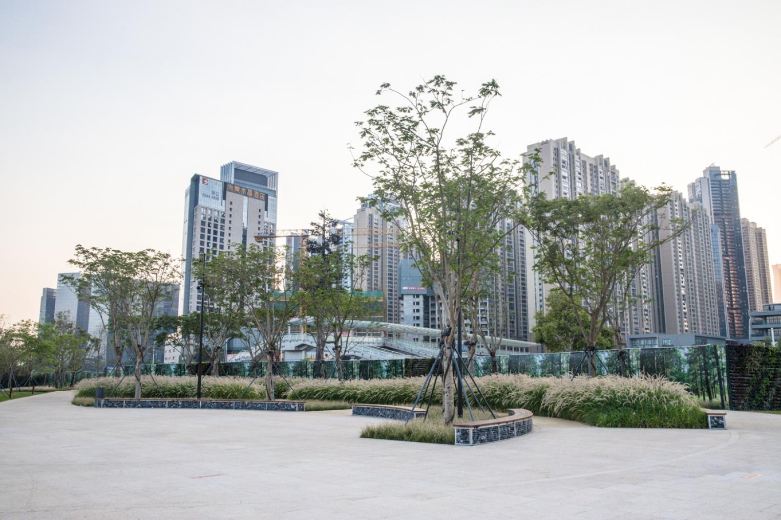 大沙河生态长廊