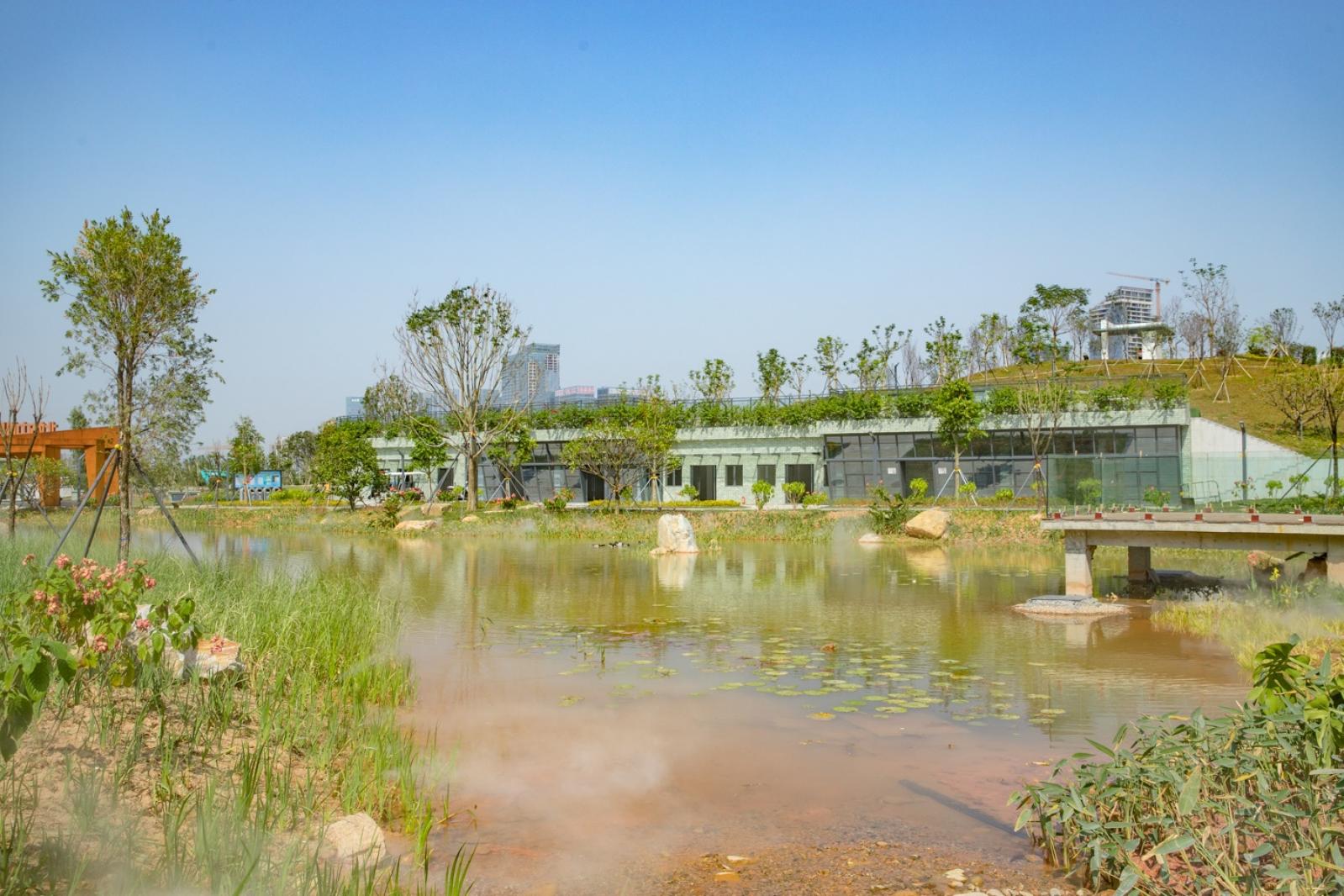深圳北站中心公园