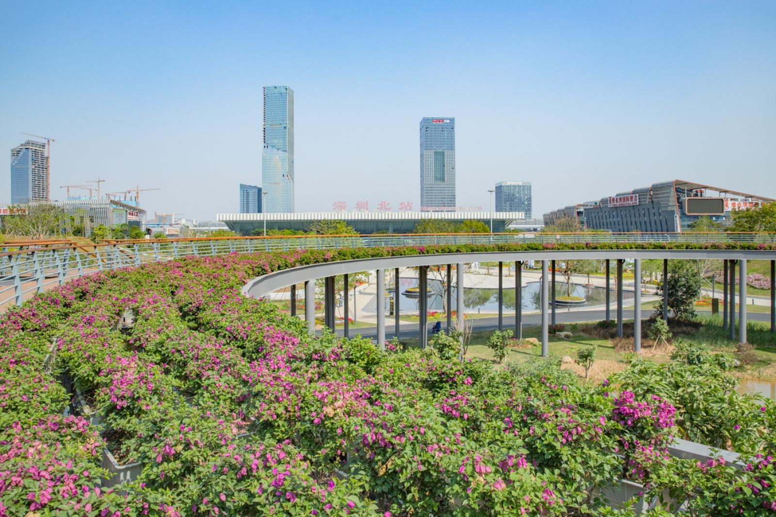深圳北站中心公园