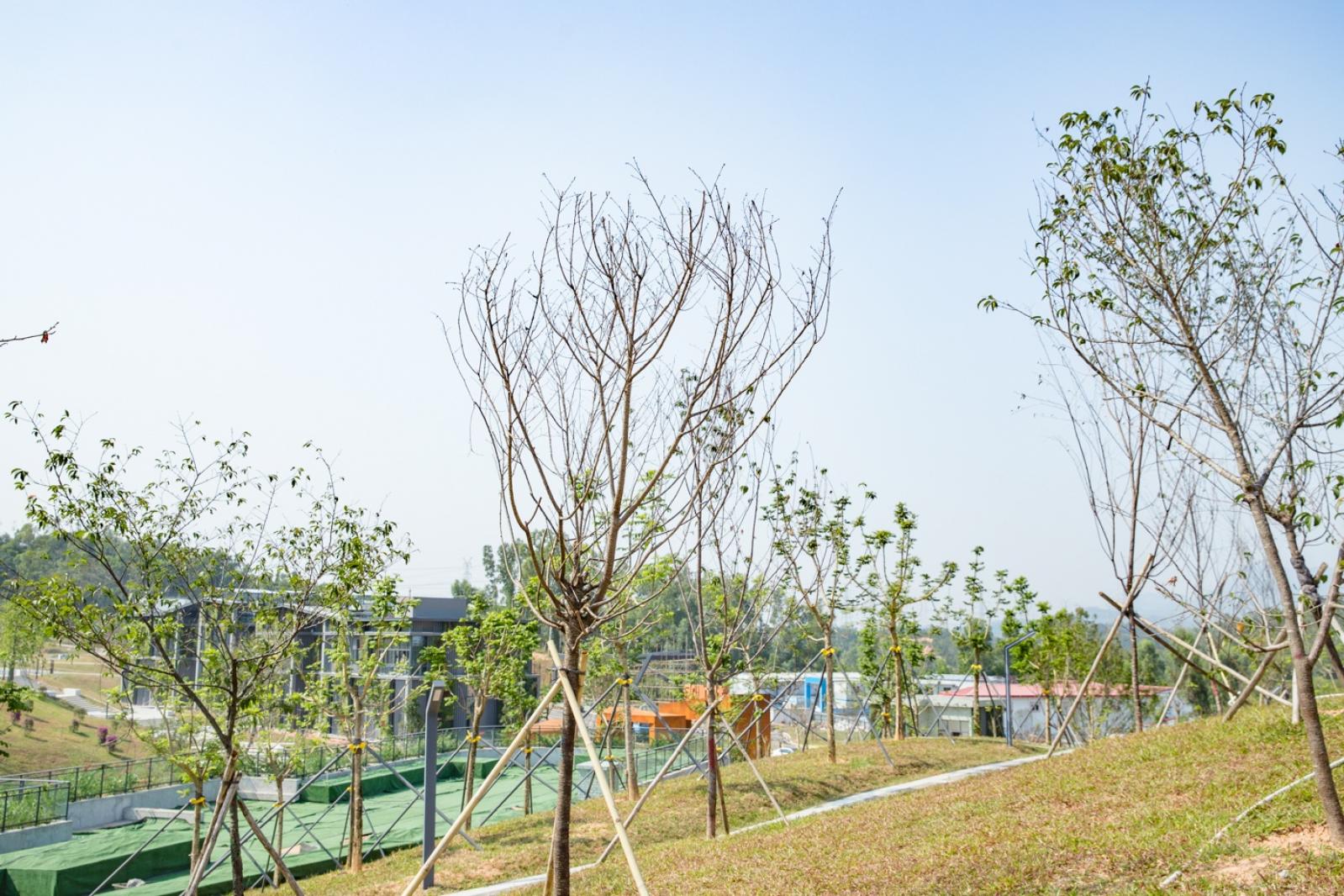 深圳北站中心公园