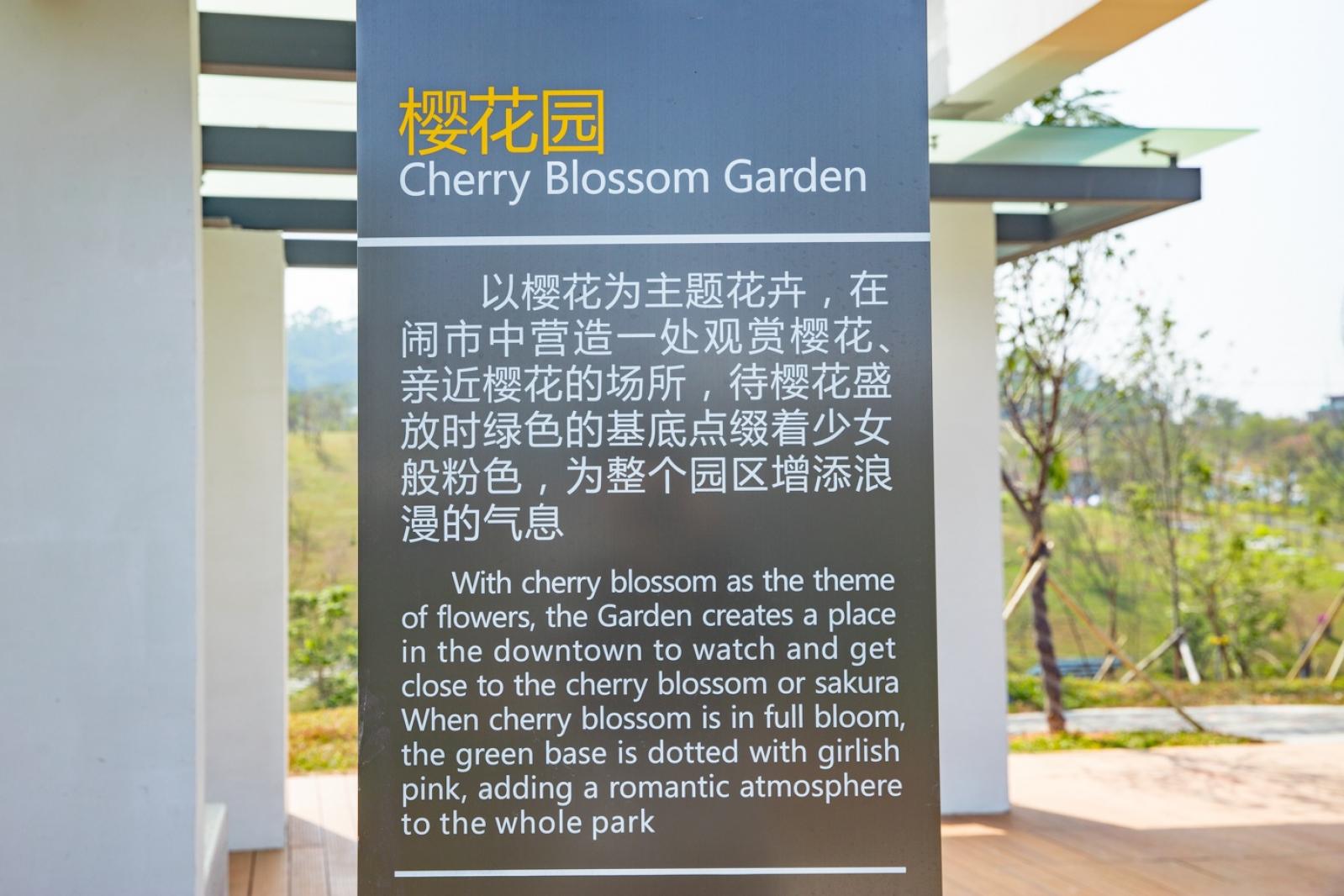 深圳北站中心公园