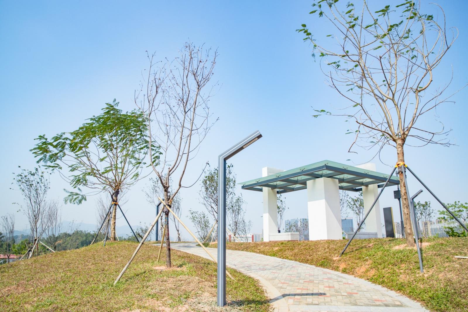 深圳北站中心公园
