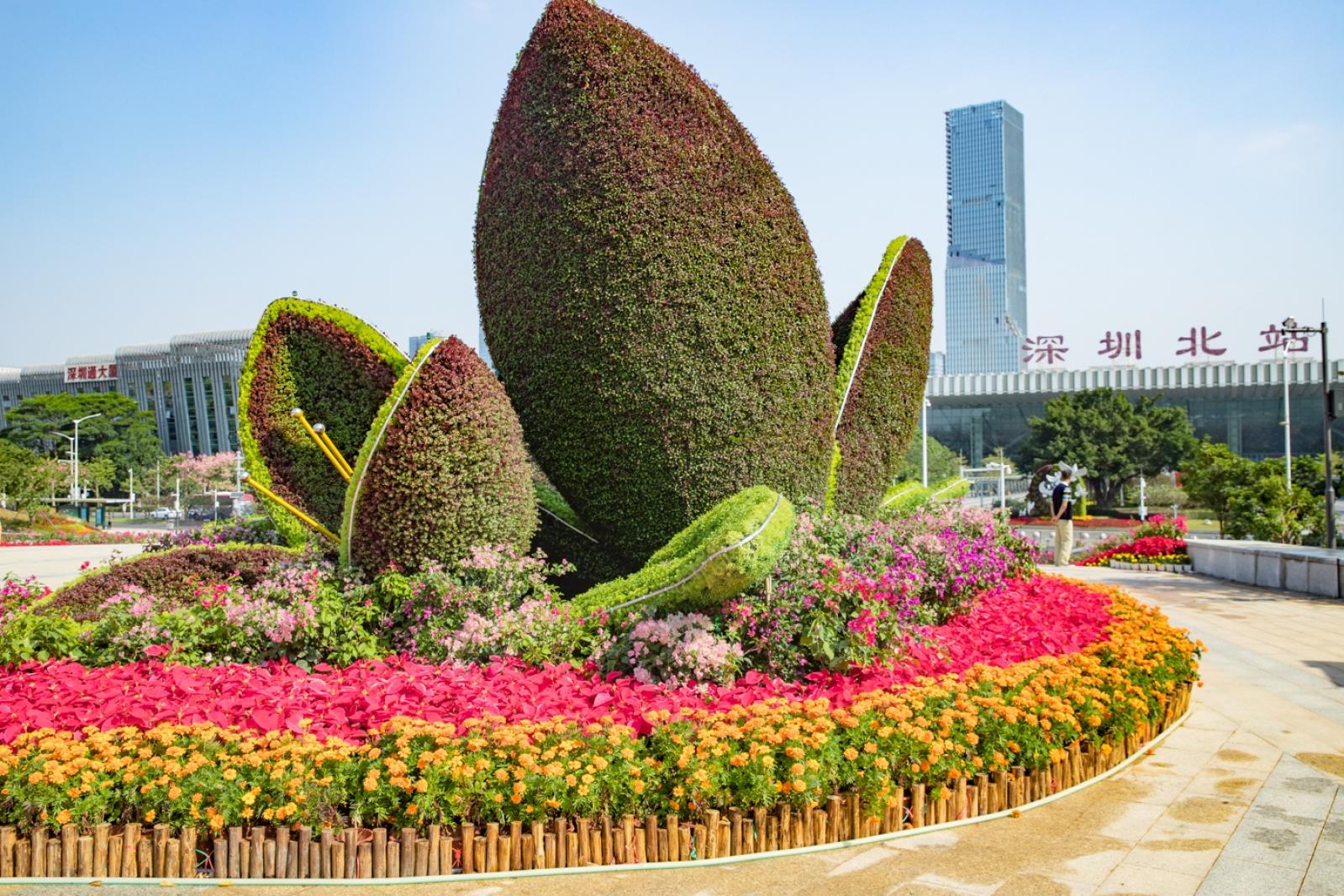 深圳北站中心公园