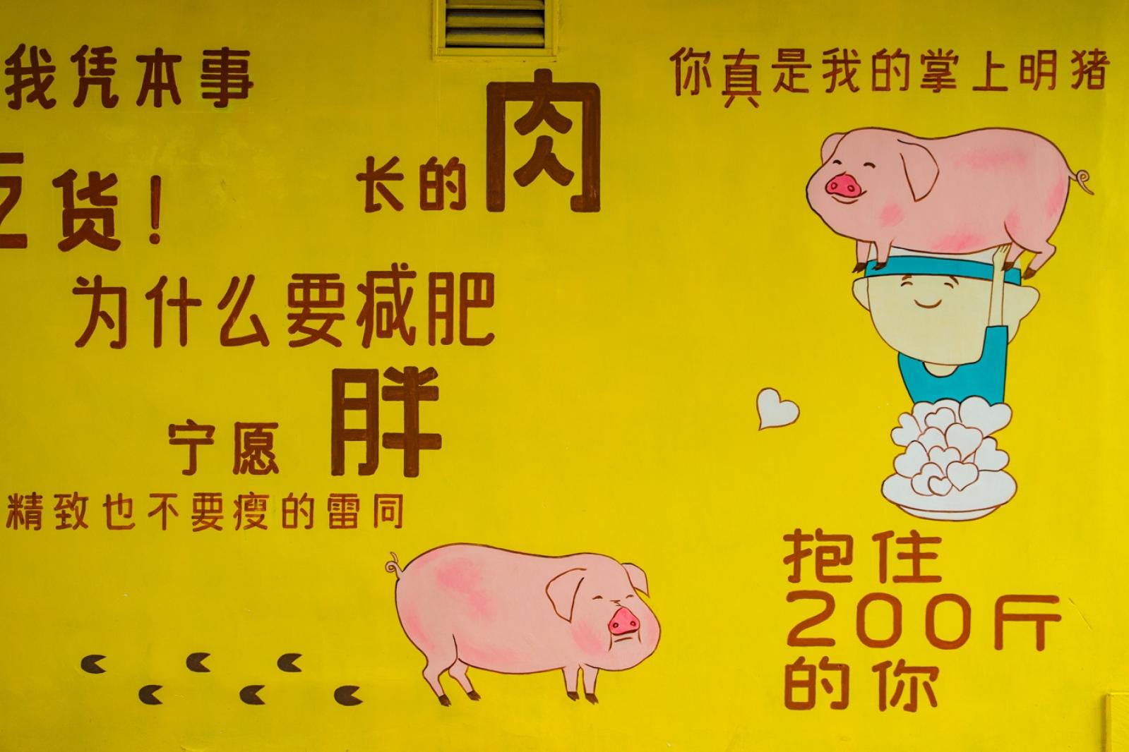 光明西柚小镇