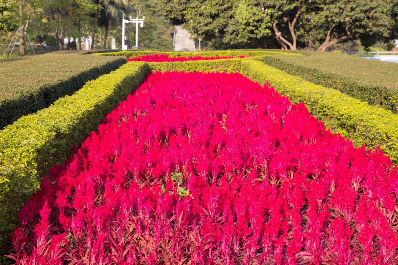 红花山公园