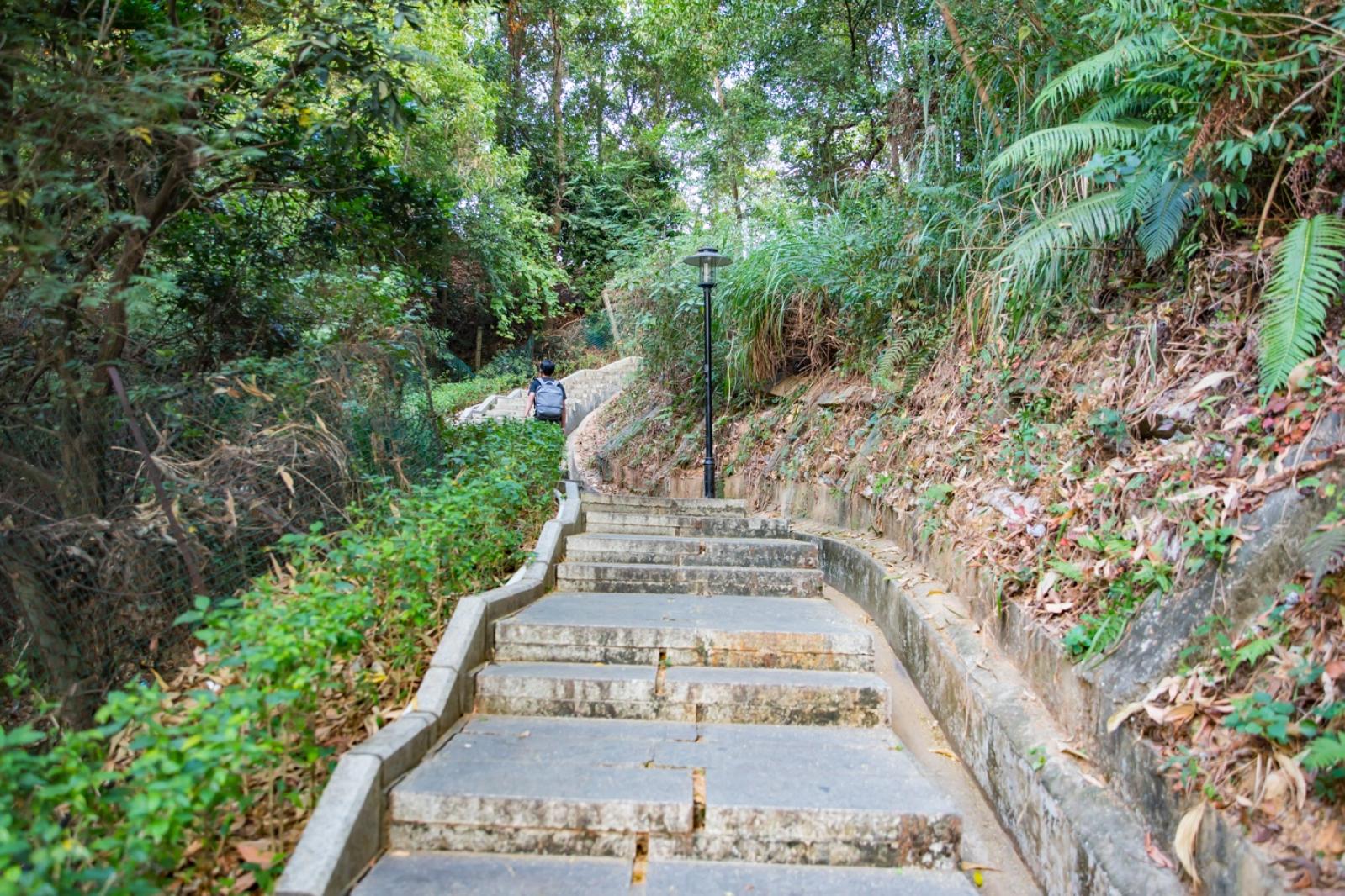 红花山公园