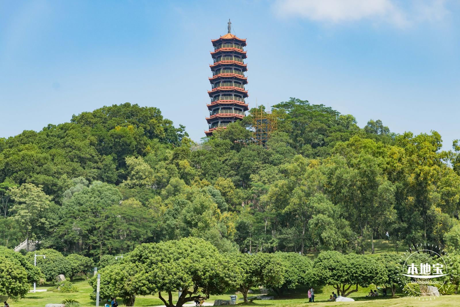 红花山粉黛乱子草