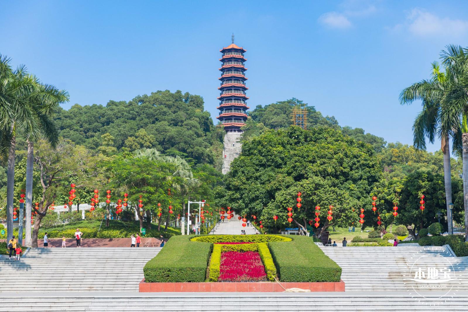 红花山粉黛乱子草